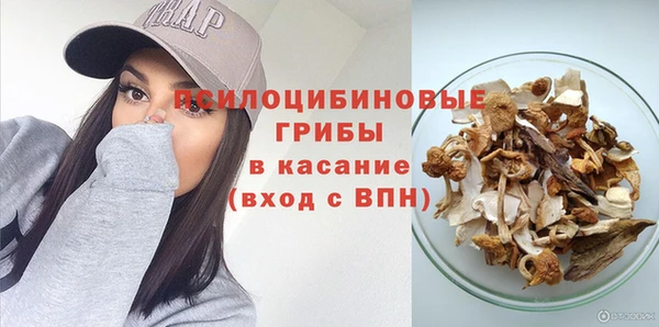 гидра Бородино