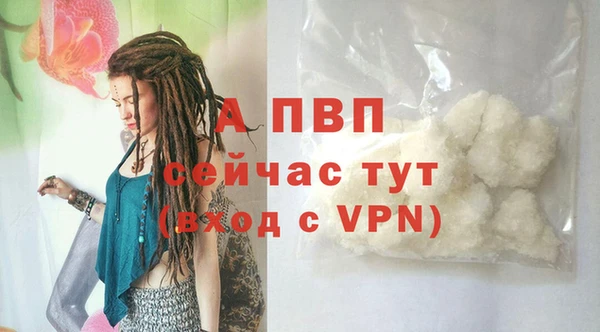 гидра Бородино