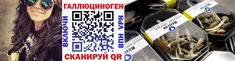 Псилоцибиновые грибы мицелий  Купить закладки  Сосновка 